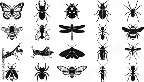 Tableau sur toile Insect arachnid silhouettes, butterfly beetle spider bee ant dragonfly mantis gr