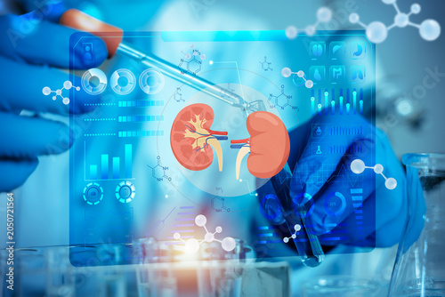 Canvastavla Digital Kidney Hologram for Nephrology Research Laboratory