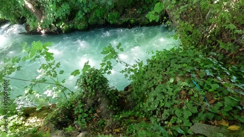 Freshwater river current in summer forest nature