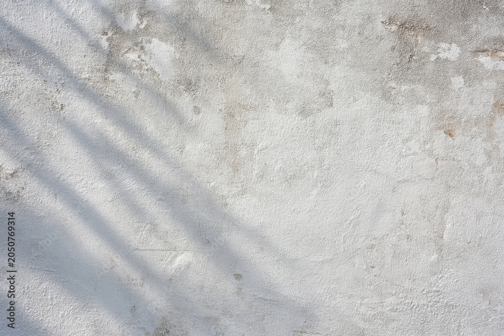 Obraz premium The wall with soft palm shadows and textured white plaster showing weathered details