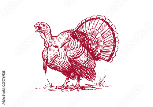 Konstfotografi Turkey Bird Asset Collection Featuring Wild and Farm Poultry Activities Hand Dra