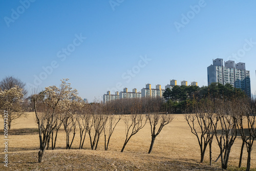 大田政府庁舎自然庭園の芝生の広場