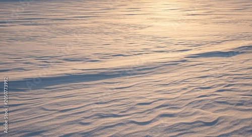 Sunlit Snow Field Texture with Rippling Patterns