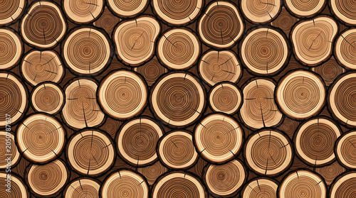 Tree growth rings drawing with cross sections of logs, natural wood texture background, growth rings and rustic wood grain illustration.