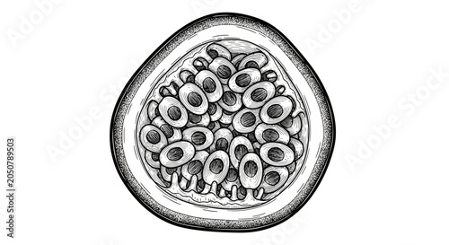 Tableau sur toile Drawing of a pomegranate seed.