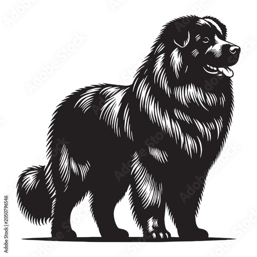 Canvas Print Russian Bear Shepherd Dog, Powerful Guardian Breed, Large Working Dog, Loyal Family Protector, Courageous Watchdog, Intelligent Companion, Strong Livestock Guardian, Protective Canine, Majestic