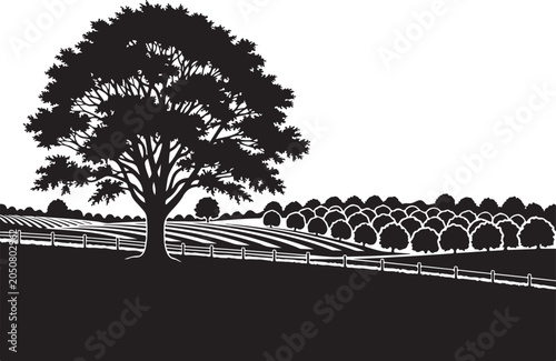 Black silhouette tree in field with hay bales and fence