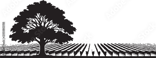 Black silhouette tree standing alone in vineyard rows crops