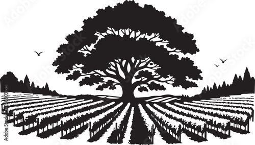 Black silhouette tree in vineyard with rows of plants birds