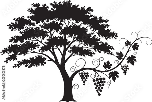Black silhouette tree with grapevine and leaves