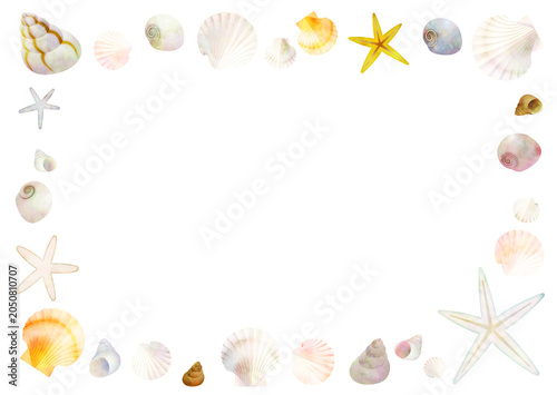 Seashell frame