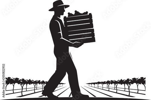 Man carrying crate through vineyard rows silhouette black