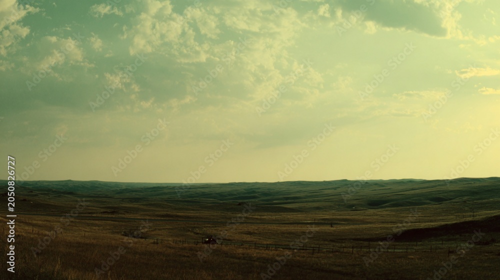 Fototapeta premium Vast windswept prairie grass swaying gently under a cloudy sky