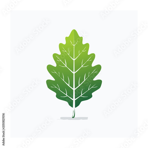 Green oak leaf icon with white veins on white background