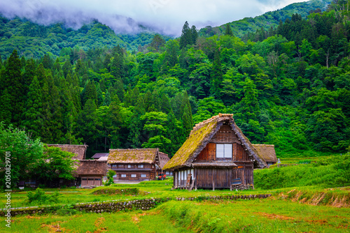 Foto Traditional and Historical Japanese village Shirakawago in Gifu Prefecture Japan