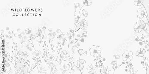 Fotografie Wildflower Collection Gray Line Art Floral Illustration On White Background