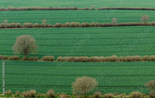 Knicklandschaft im Frühling, Schleswig-Holstein, Deutschland