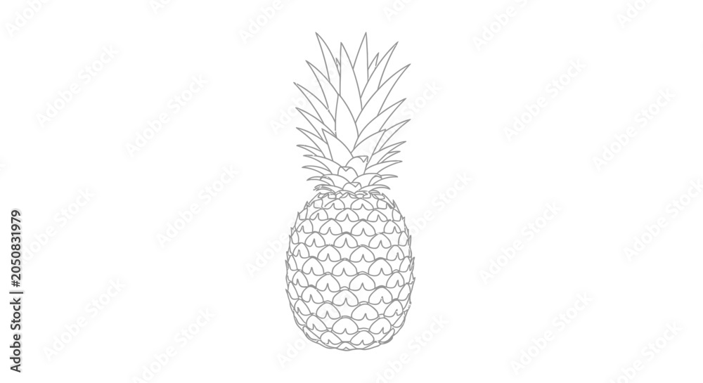 Obraz premium Pineapple Fruit Isolated on White Background.