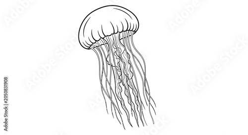 Foto Detailed illustration of a jellyfish.