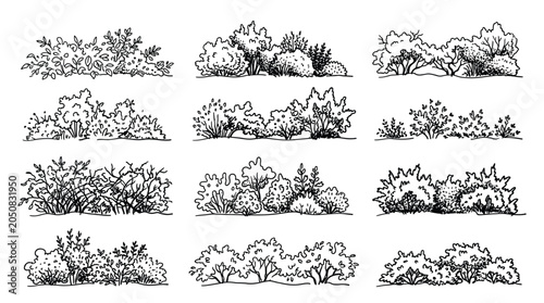 Set of hand drawn bushes and shrubs, garden landscape elements