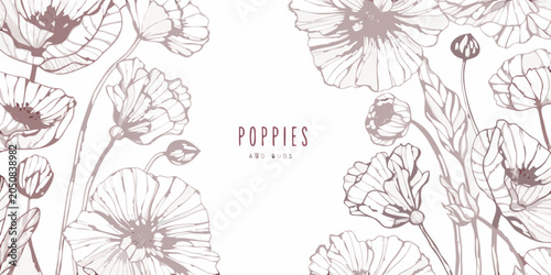 Fotografie Poppy floral ornament with delicate lines on a light beige background