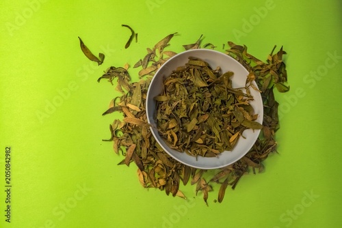 Dried mistletoe (mistletoe growing on pine trees) scattered on fresh snow beside a white ceramic cup. Natural winter herbal composition with copy space, showcasing traditional botanical ingredients, s