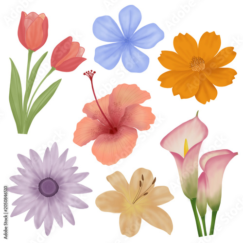 Sticker set collection of flowers
