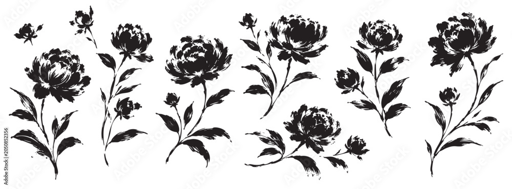 Naklejka premium Collection of hand drawn peony flowers, ink sketch illustration, botanical design elements, isolated on white background.