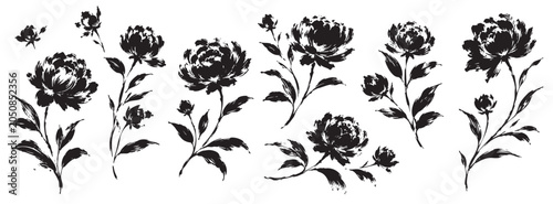 Collection of hand drawn peony flowers, ink sketch illustration, botanical design elements, isolated on white background.
