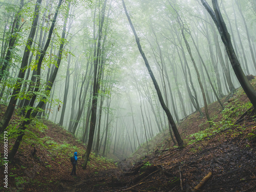 Hiker crossing misty forest valley in dramatic light after rain