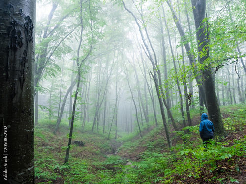 Hiker observing misty forest landscape in dramatic morning light
