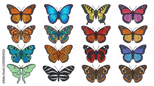 Collection of Diverse Butterfly Species in Vibrant Colors