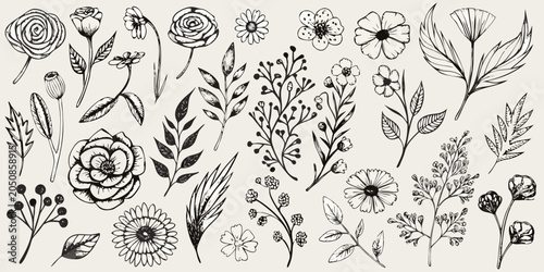 Schilderij op canvas Botanical Illustration Collection Black And White Vector Arrangement