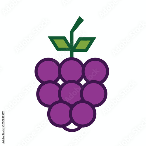 Minimalist geometric purple grape bunch icon with green stem.