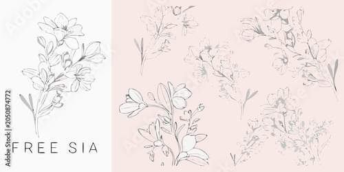 Bild auf Leinwand Freesia flower collection hand drawn vector illustration on a pale pink backgrou