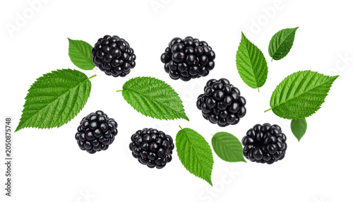 A delightful arrangement of fresh blackberries with vibrant green leaves, presented as a refreshing culinary composition