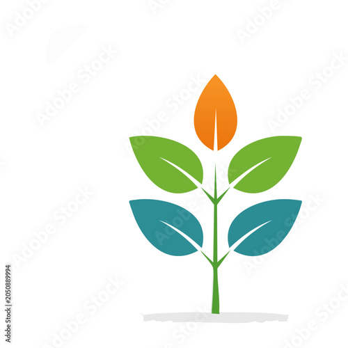 Flat design plant sprout with colorful leaves