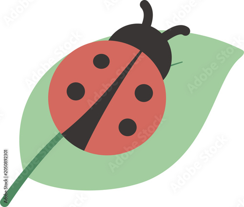 Colorful Ladybug Resting on Fresh Leaf
