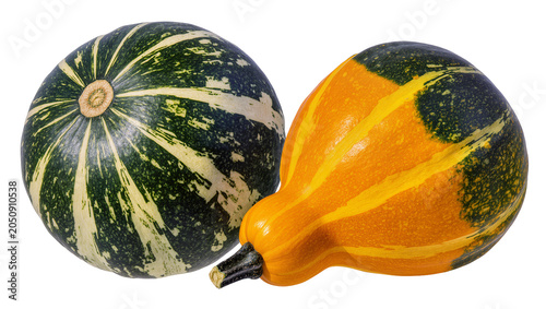 Bild auf Leinwand Two ornamental gourds one round striped green and cream, one pear-shaped orange