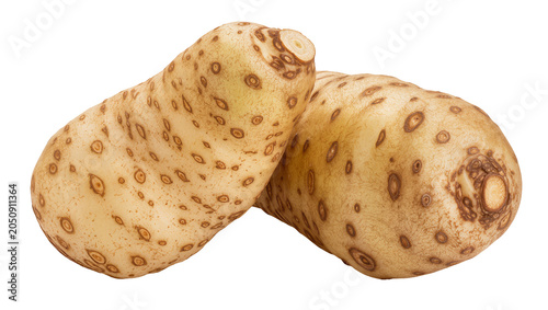 Bild auf Leinwand Two raw potatoes with brown eyes and skin