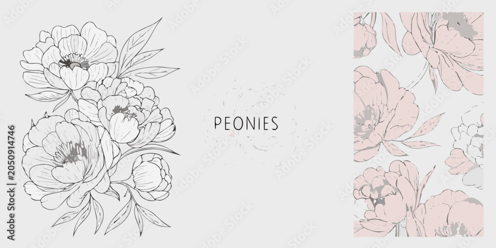Fototapeta premium Peony flower collection hand drawn vector illustration with soft pastel tones