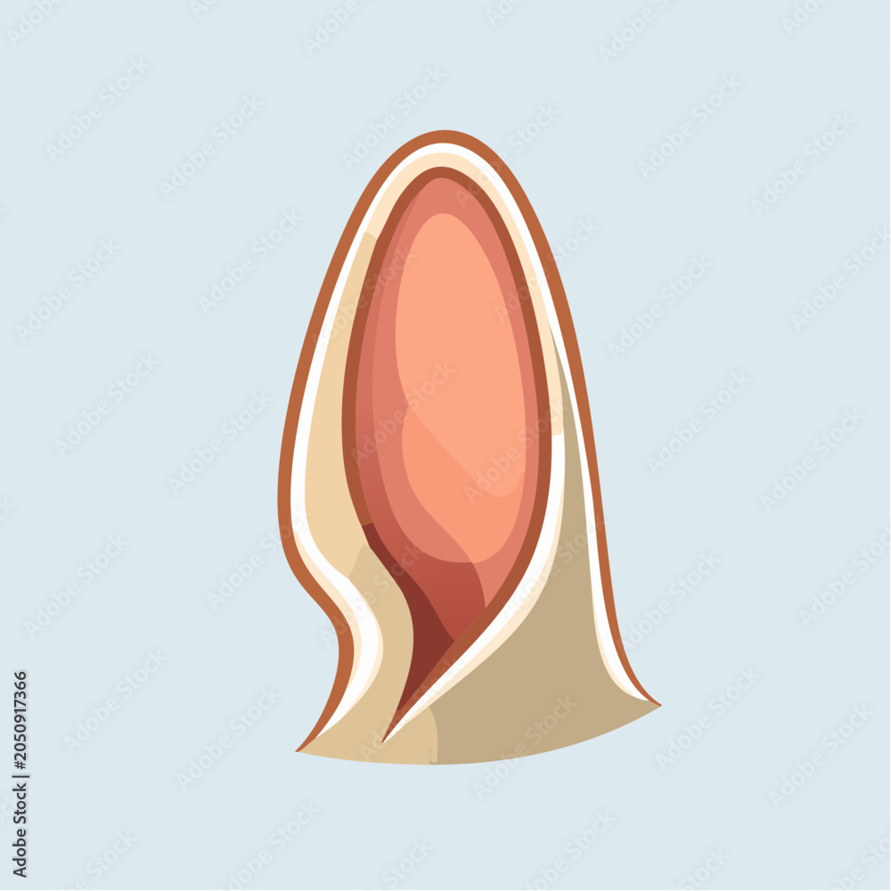 Fototapeta premium Cartoon Rabbit Ear Illustration