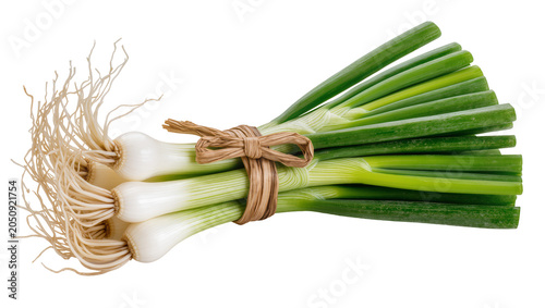 Foto Bundle of fresh green onions with roots tied with twine