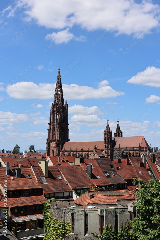 Fototapeta premium Der Freiburger Münsterturm hinter Hausdächern