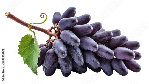 Foto Dark purple seedless grapes with green leaf and tendril