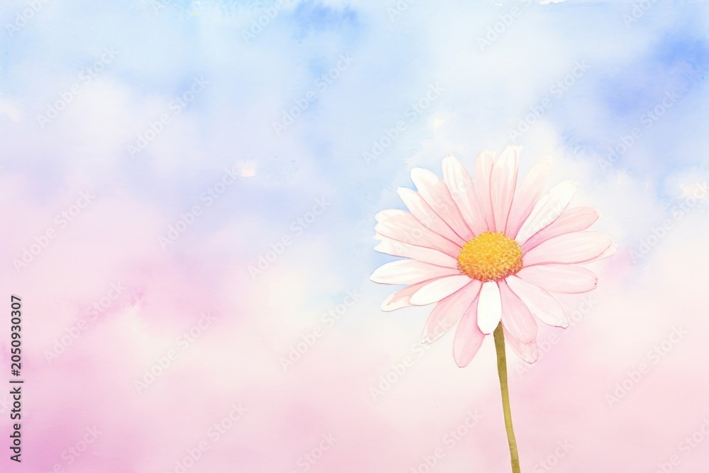 Obraz premium Background daisy sky backgrounds outdoors.