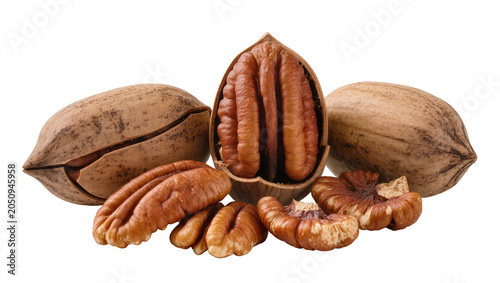 Fotografija Pecan nuts in shell and shelled kernels