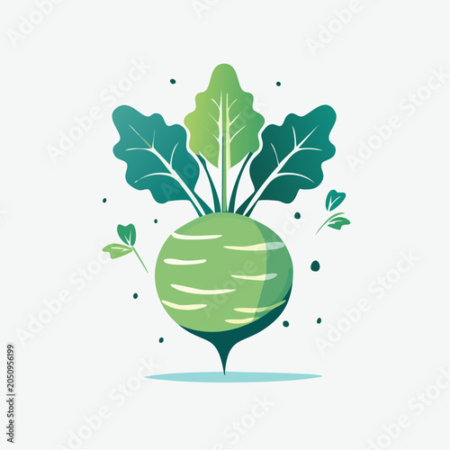 Stylized Green Turnip or Kohlrabi Vegetable Illustration