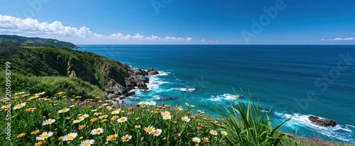 Panel kuchenny z motywem Coastal cliff with vibrant wildflowers beside clear turquoise waters under a sunny summer sky.