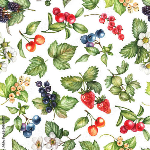 Seamless pattern with hand drawn berries, watercolor illustration. Strawberry, currant, blackberry, cherry, blueberry, gooseberry, leaves and white flowers isolated on a white background.